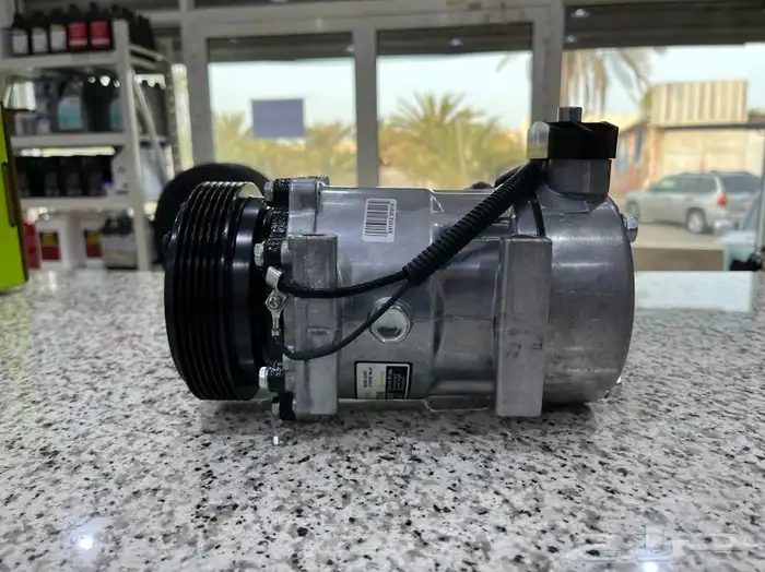 كمبروسور شروكي من 2001 1986 6
