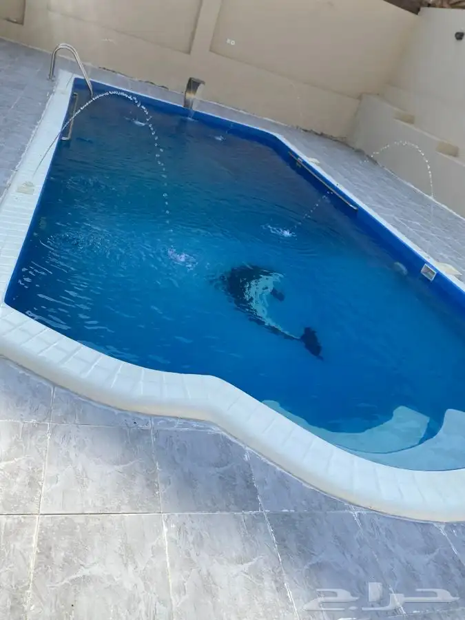 استراحة الاميره للاجار اليومي 16