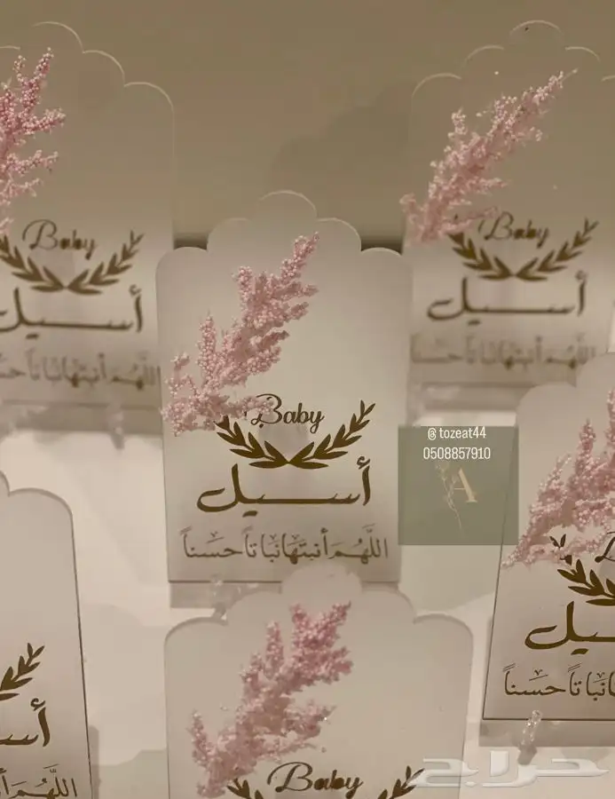 توزيعات مواليد بكجات مواليد 17