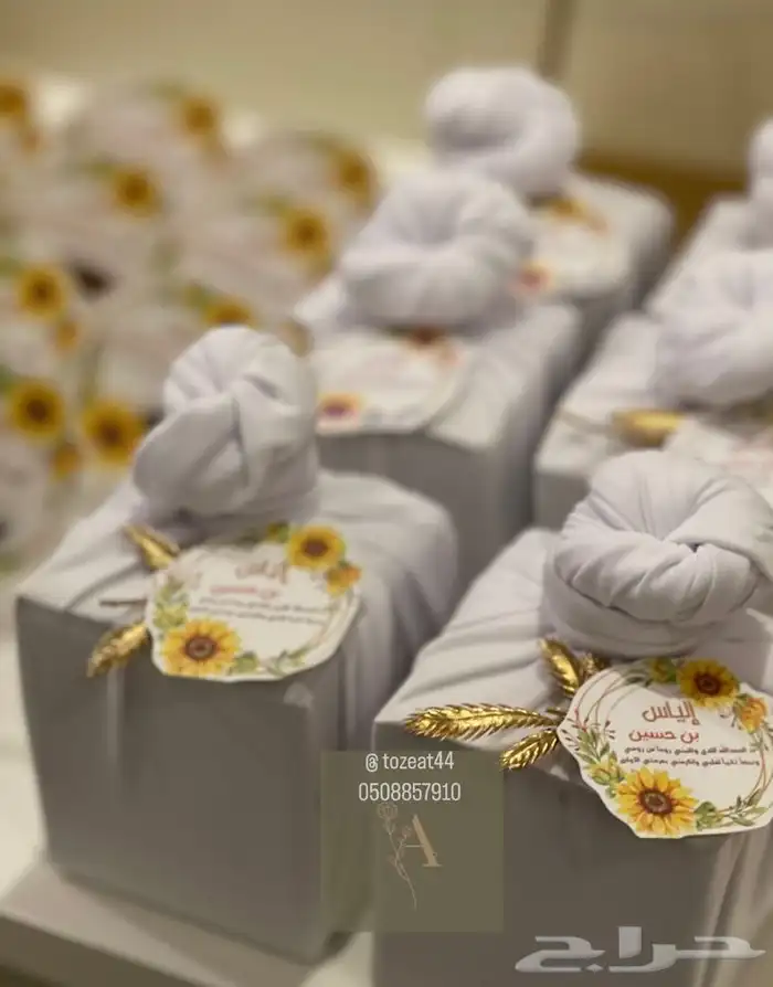 توزيعات مواليد بكجات مواليد 4