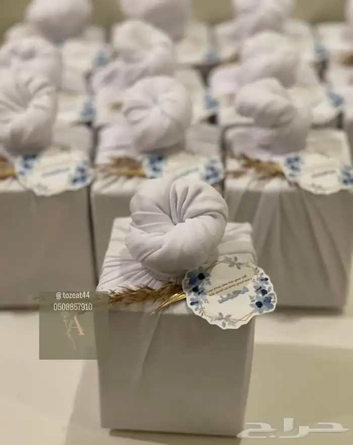 توزيعات مواليد بكجات مواليد 11