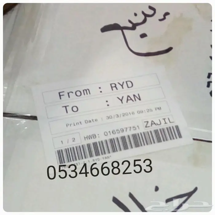 تمر سكري القصيم مجروش حبة كبيرة فاخر بسكوت حلاوة بقر 15