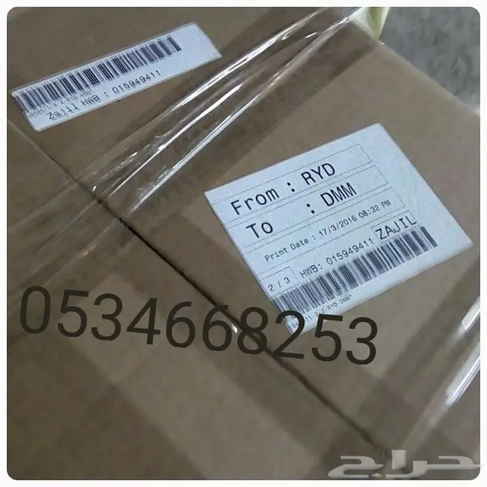 تمر سكري القصيم مجروش حبة كبيرة فاخر بسكوت حلاوة بقر 43