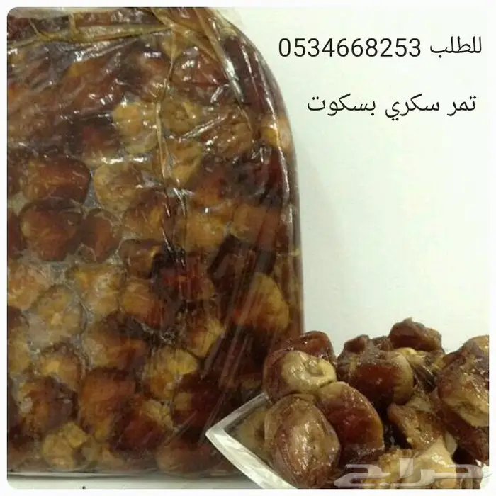 تمر سكري القصيم مجروش حبة كبيرة فاخر بسكوت حلاوة بقر 0