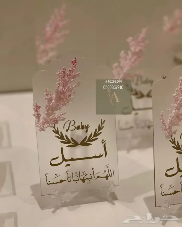 توزيعات مواليد بكجات مواليد 18