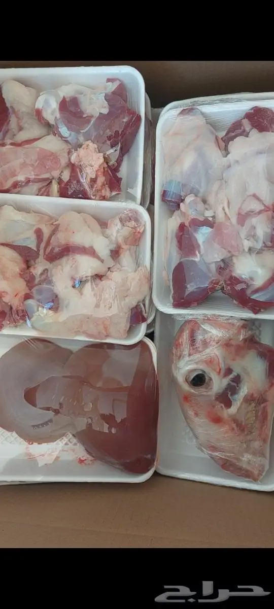 ذبايح ثلاجة وطبخ مع التوصيل إلى باب البيت 9