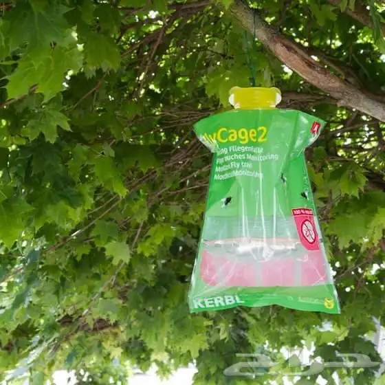 مصيدة ذباب- نفذت 1