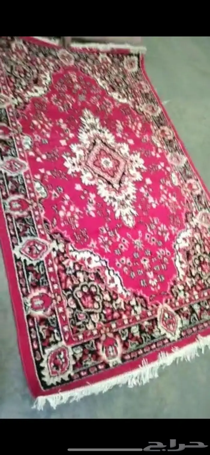 تأجير زل سجاد خيام لوازم رحلات 0