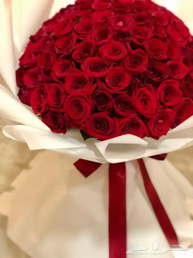 تجهيزات شهر العسل 0