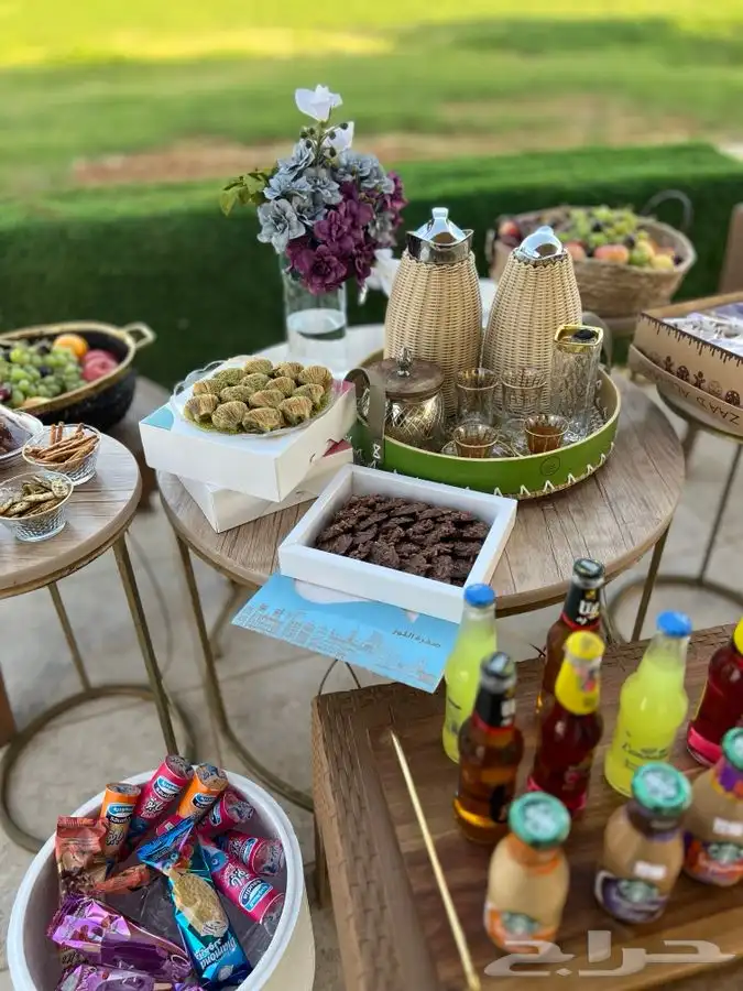 شاليه القريات الشمال الرديفه جماجم الناصفةمسابح وخيول مجانيه 42