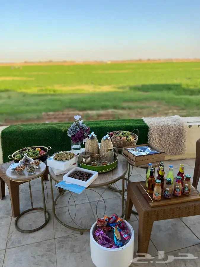 شاليه القريات الشمال الرديفه جماجم الناصفةمسابح وخيول مجانيه 46