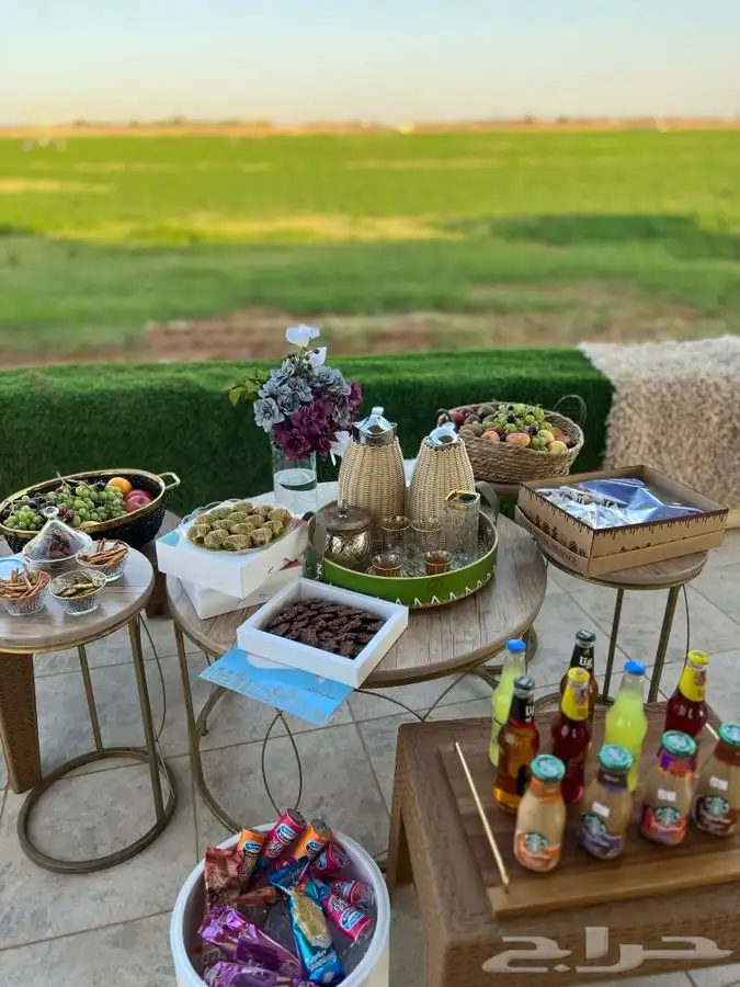 شاليه القريات الشمال الرديفه جماجم الناصفةمسابح وخيول مجانيه 45