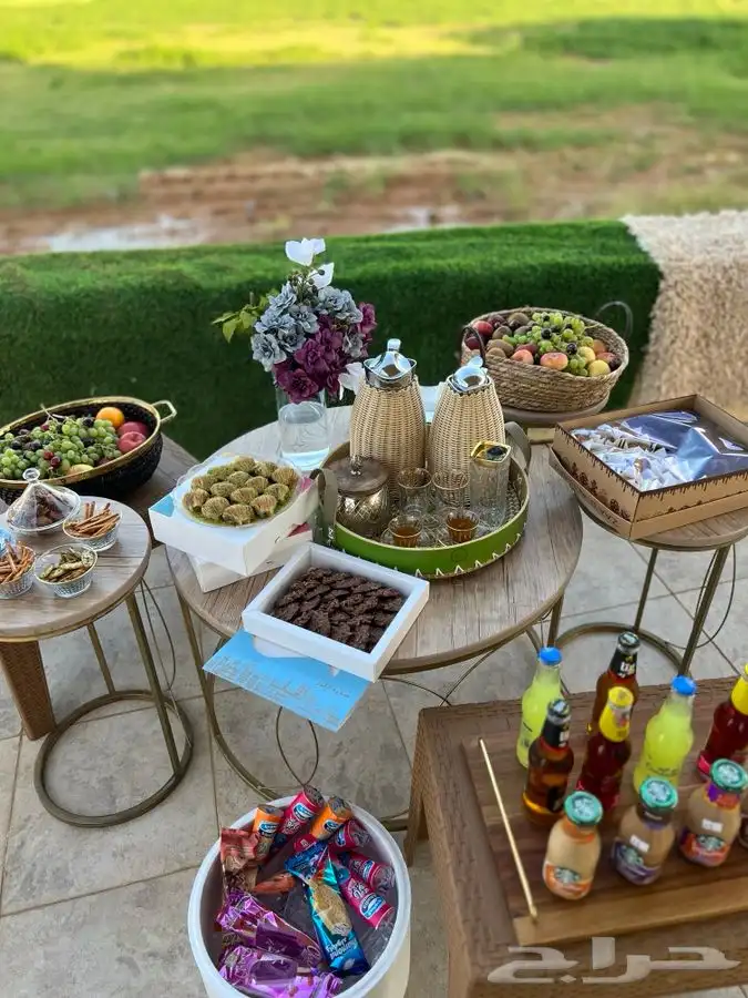 شاليه القريات الشمال الرديفه جماجم الناصفةمسابح وخيول مجانيه 44