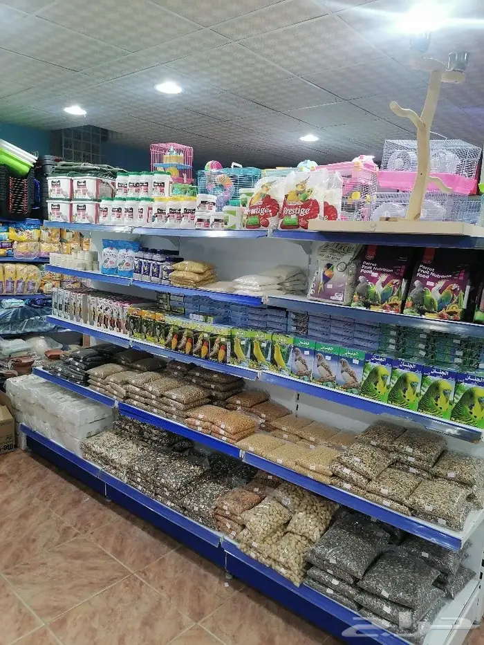 قطط أسماك طيور مستلزمات الطيور 22
