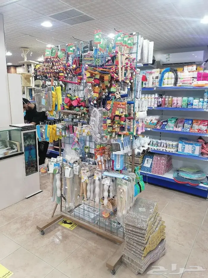 قطط أسماك طيور مستلزمات الطيور 17