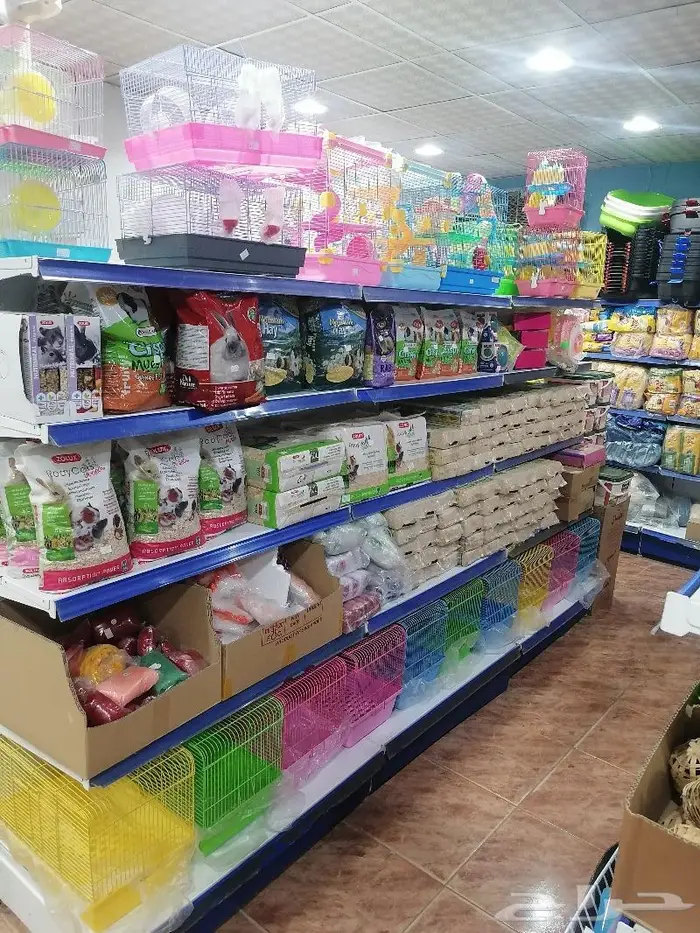 قطط أسماك طيور مستلزمات الطيور 19