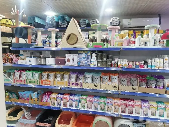 قطط أسماك طيور مستلزمات الطيور 6