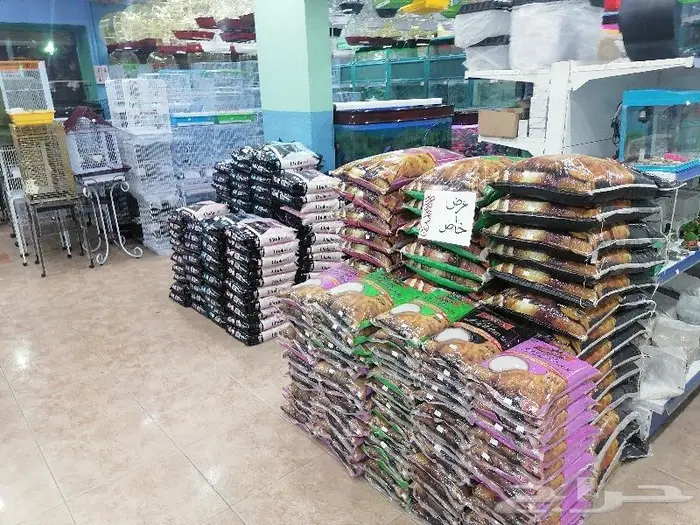 قطط أسماك طيور مستلزمات الطيور 18