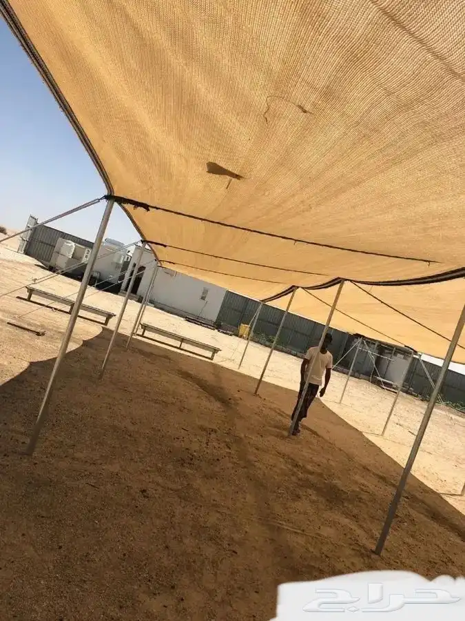 مضلة حلال - مضلي ابل تضليل _ ضلال 7