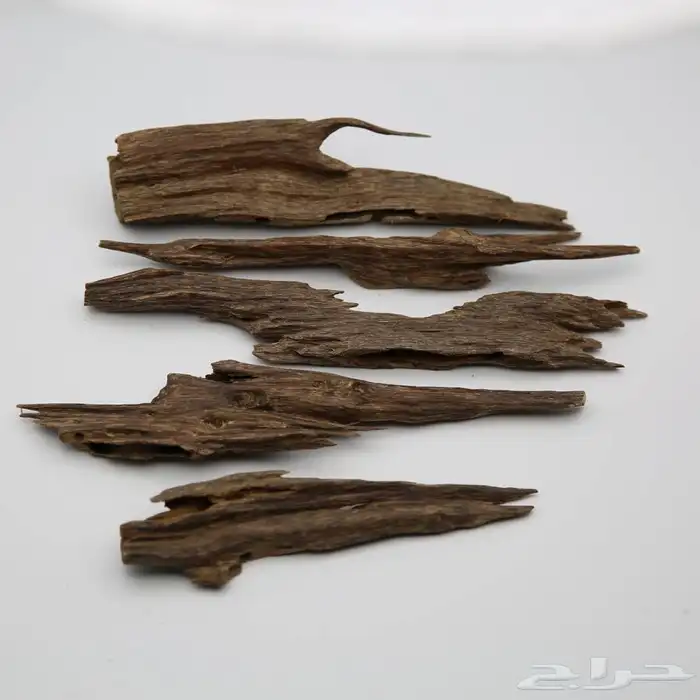 نوادر دهن العود و كسر العود الهندي الطبيعي 2
