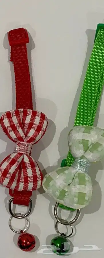 اطواق قطط 3