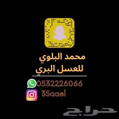 عسل طلح تبوك البري (عرض خاص ) 5