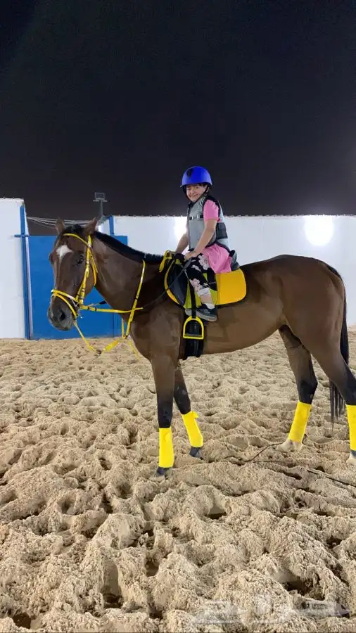 تعليم ركوب الخيل 0