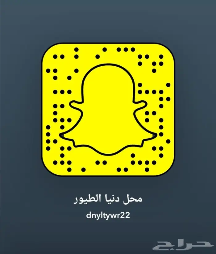 سمك فايتر أسماك الفايتر 3