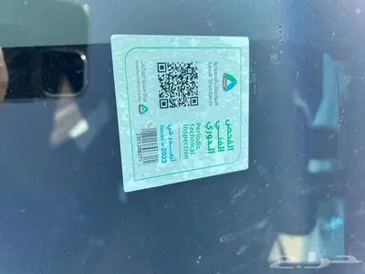ونيت جريت وول ونجل 6 ( تم البيع ) index
