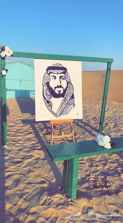 ارسم جميع الرسومات والمجالات 0