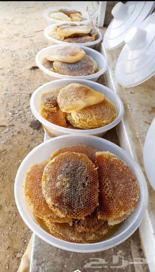 عسل جبلي صافي من التغذيه من منحلي شخصي ا 1