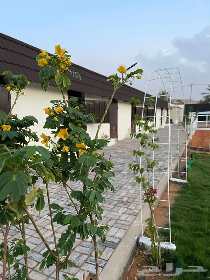 مربط خيول في منتجع بسعر رمزي 7