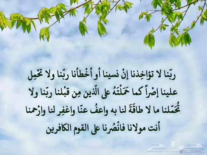 توصيل من الرياض إلى الأحساء والعكس 0