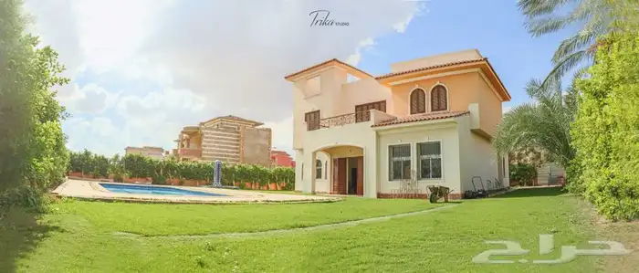 مصورين فيديو وفوتوغرافي محترفيين 39