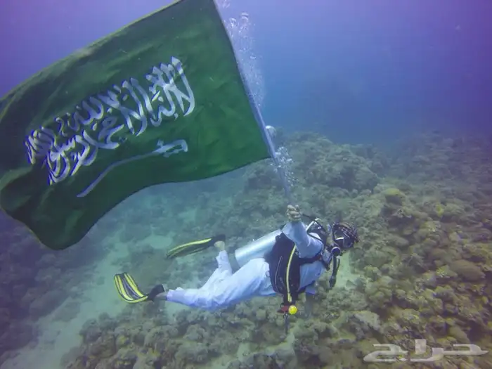 شهادة غوص معتمدة لمتقدمين الوظائف العسكرية عرض خاص 5