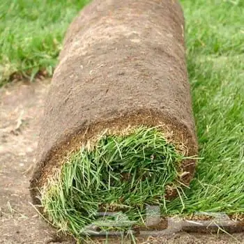 تنسيق حدائق وزراعة 2