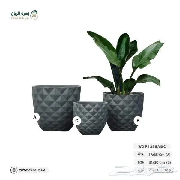 احواض زرع 2