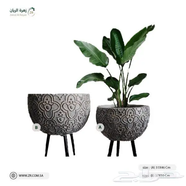 احواض زرع 1