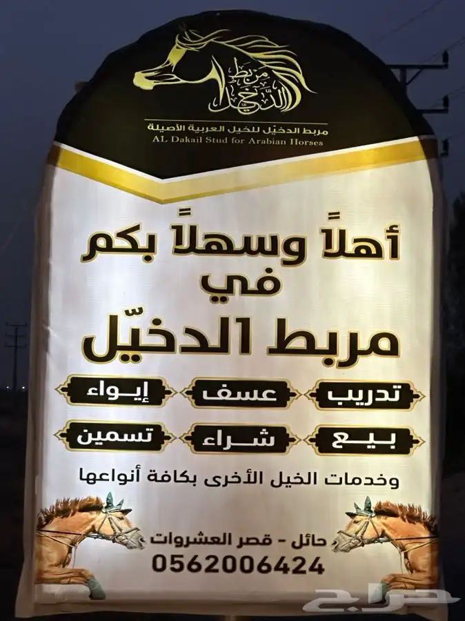 ايواء خيل و تسمين خيل وعلاج 5