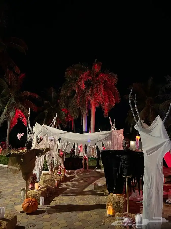 ابداعات الحفلات و ديكور المناسبات 26