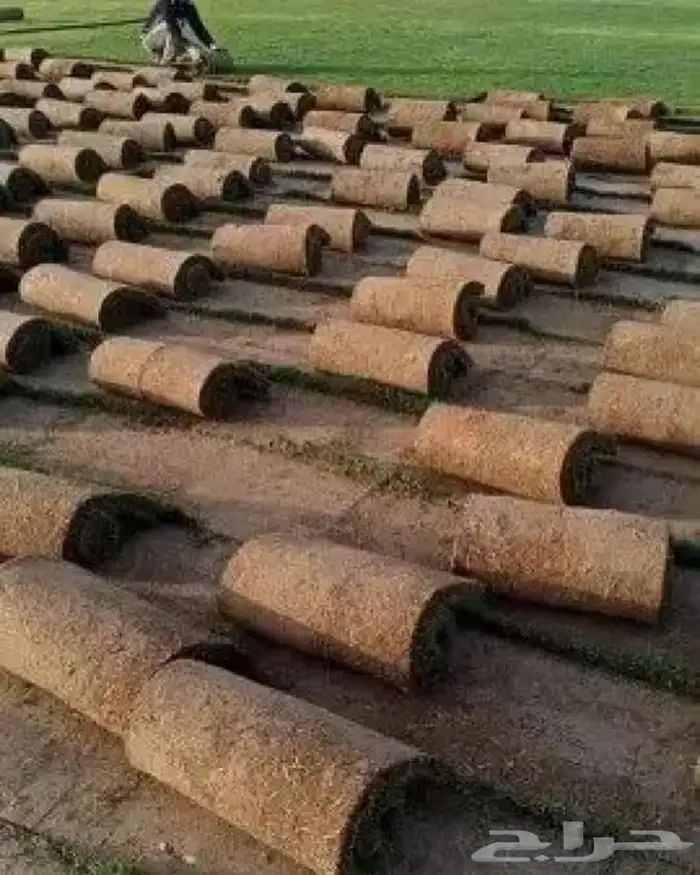 تنسيق حدائق وزراعة 6
