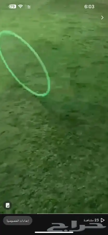 رسم وجه وفعاليات ومسابقات كبار صغار 8