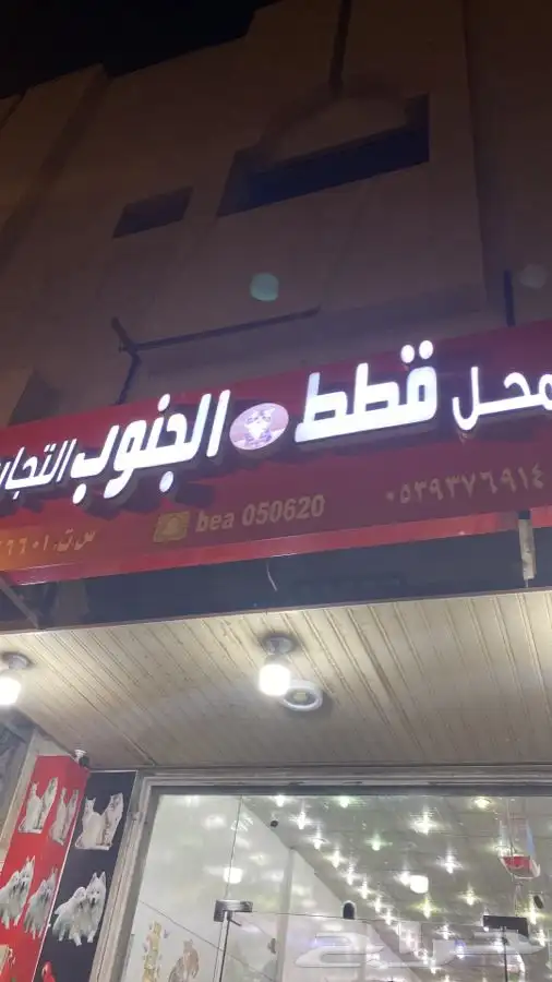 حلاقه فندقه اكل قطط اكل حيونات مستلزمات سمك محل حيوانات 2