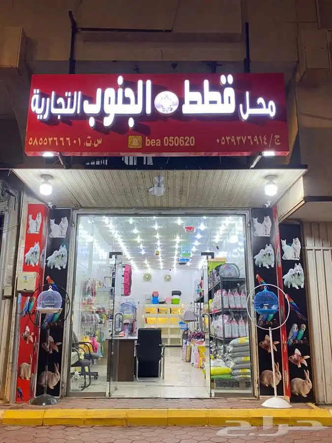 اكل قطط اكل طيور قفص قطط مستلزمات اطيور والقطط جميع الحيونا 7