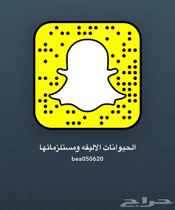 حلاقه فندقه اكل قطط اكل حيونات مستلزمات سمك محل حيوانات 6