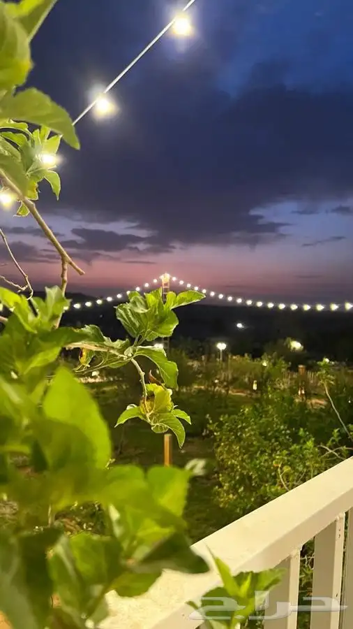 منتجع ومحمية  بلاك باك 23