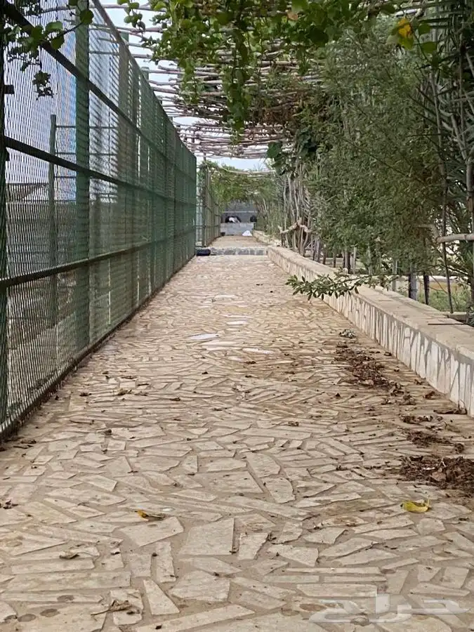 منتجع ومحمية  بلاك باك 22