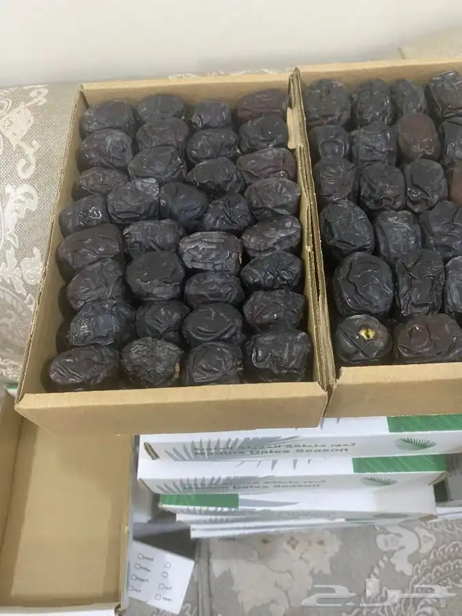 عجوة المدينه 4