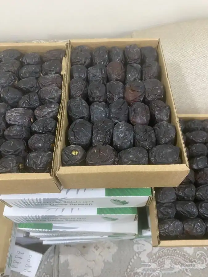 عجوة المدينه 6