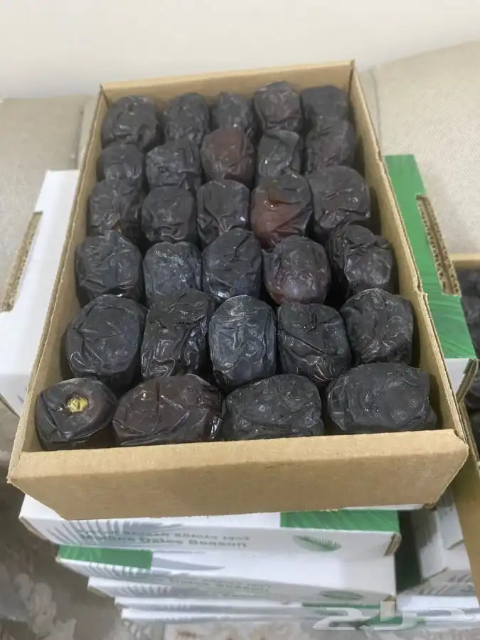 عجوة المدينه 7